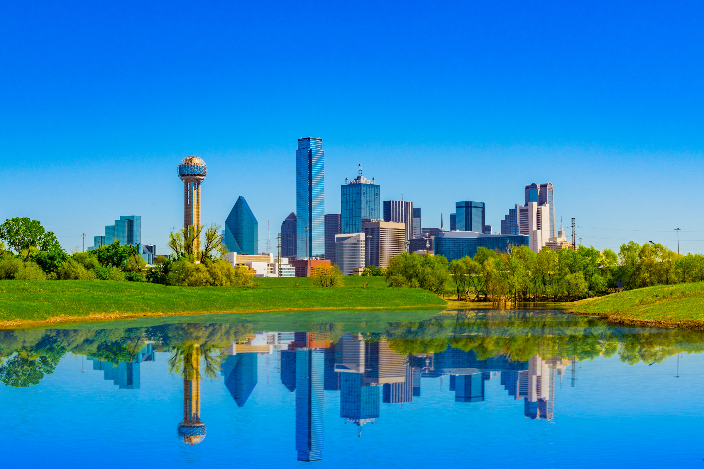 dallas, texas (2).webp